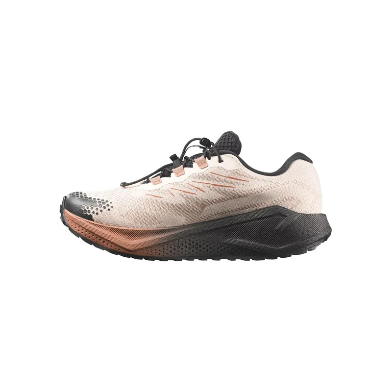 Salomon Aero Blaze 4 GRVL GTX Women vanilla ice black burro