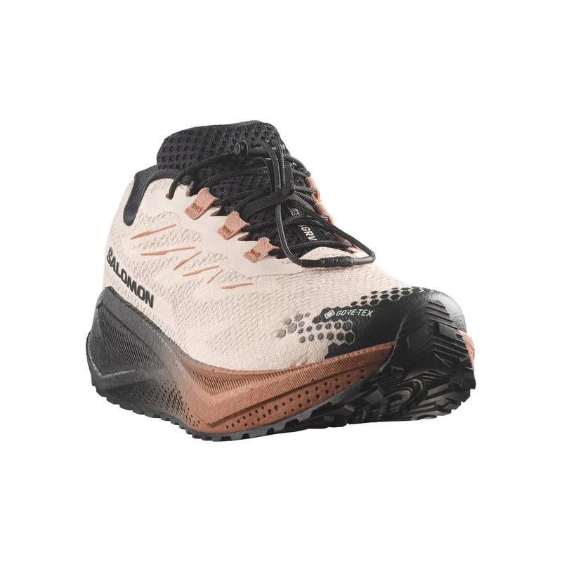 Salomon Aero Blaze 4 GRVL GTX Men vanilla ice black burro