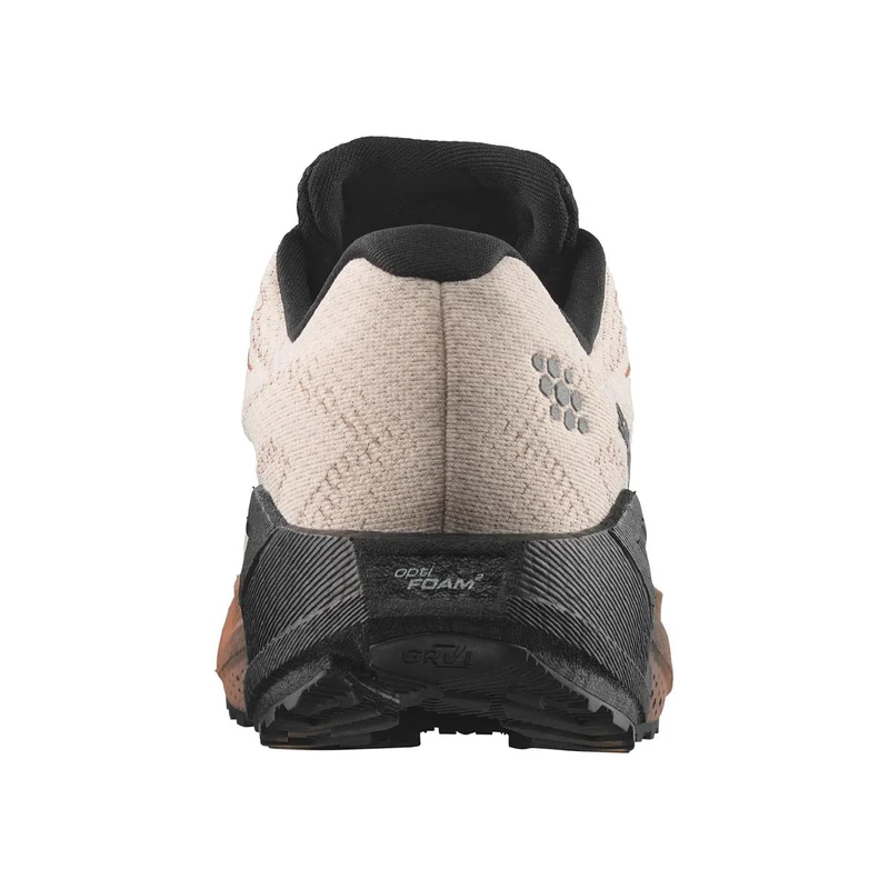 Salomon Aero Blaze 4 GRVL GTX Men vanilla ice black burro