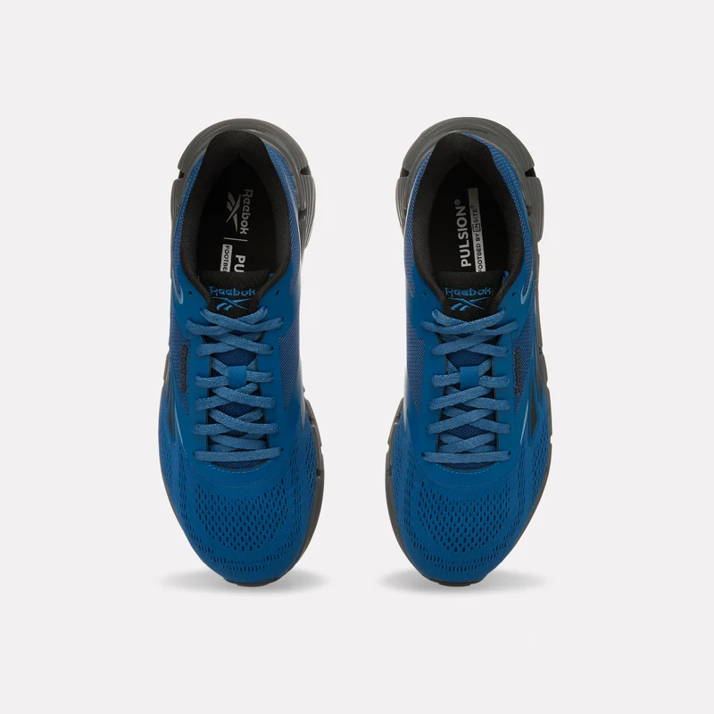 Zig Dynamica 6 Men's Running Shoes