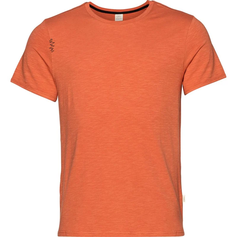 Chillaz Innsbruck Gentle Heights Herren T-Shirt terracotta