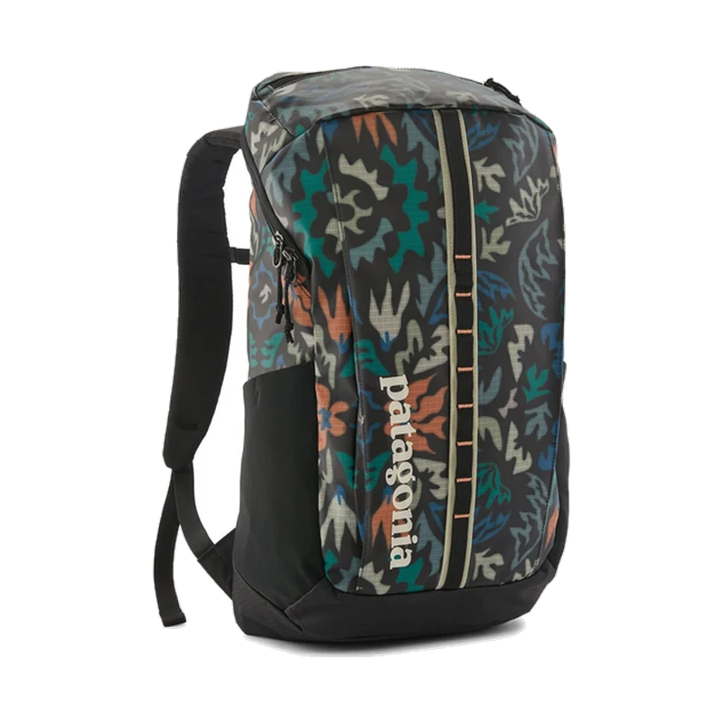 Patagonia Black Hole Pack 25