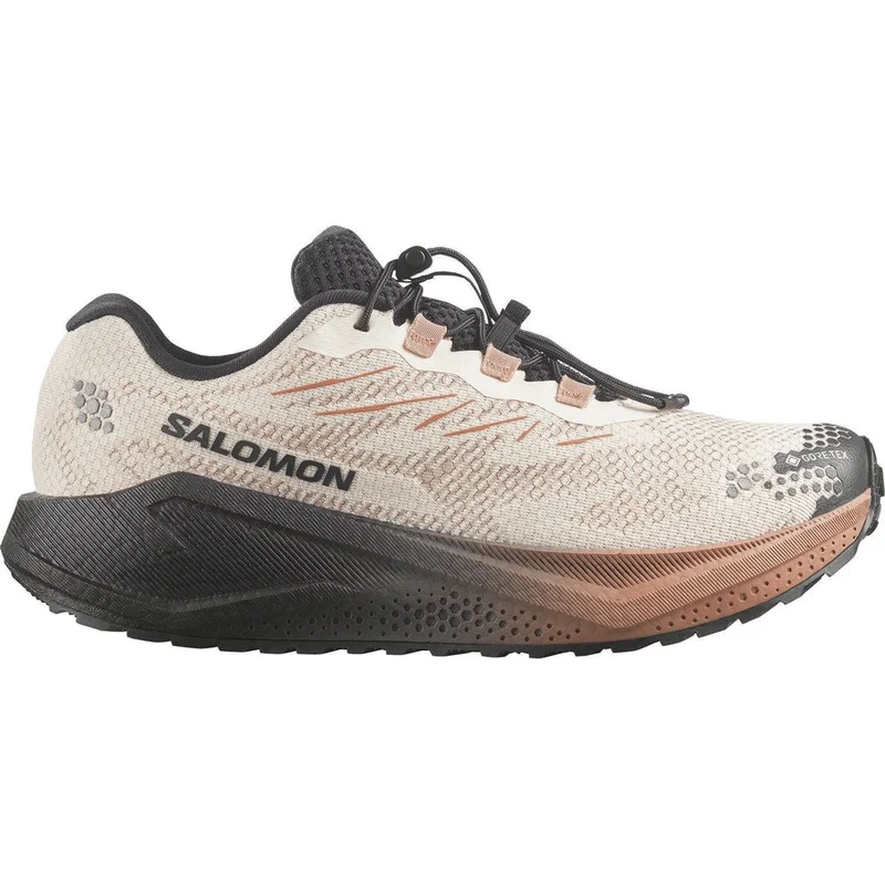 Salomon Shoes Aero Blaze 4 Grvl GTX Herren Trailrunningschuh vanilla ice/black/burro