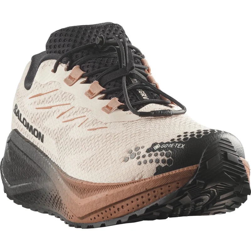 Salomon Shoes Aero Blaze 4 Grvl GTX Herren Trailrunningschuh vanilla ice/black/burro