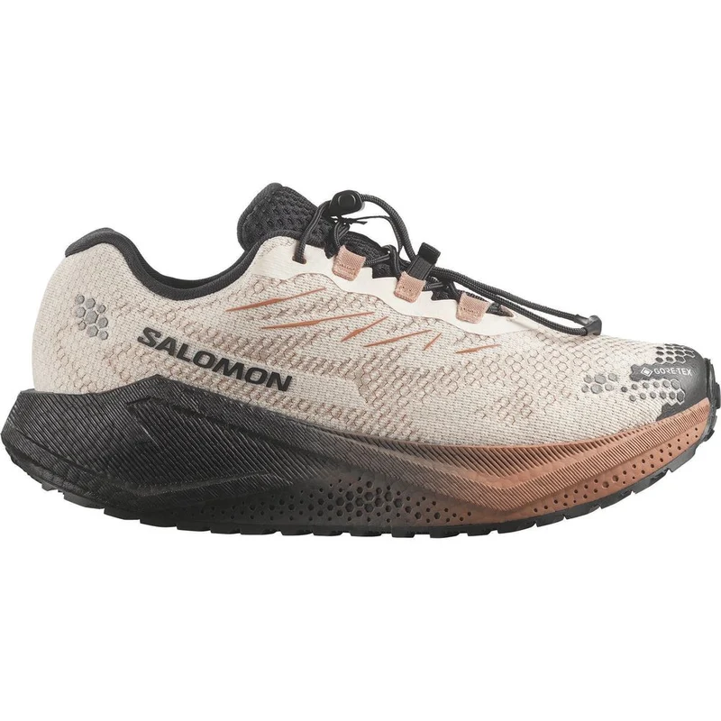 Salomon Aero Blaze 4 Grvl GTX W Damen Trailrunningschuh vanilla ice/black/burro