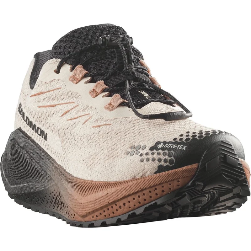 Salomon Aero Blaze 4 Grvl GTX W Damen Trailrunningschuh vanilla ice/black/burro