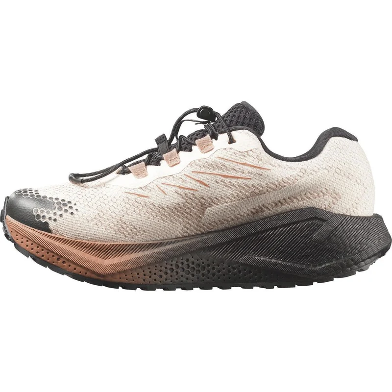 Salomon Aero Blaze 4 Grvl GTX W Damen Trailrunningschuh vanilla ice/black/burro
