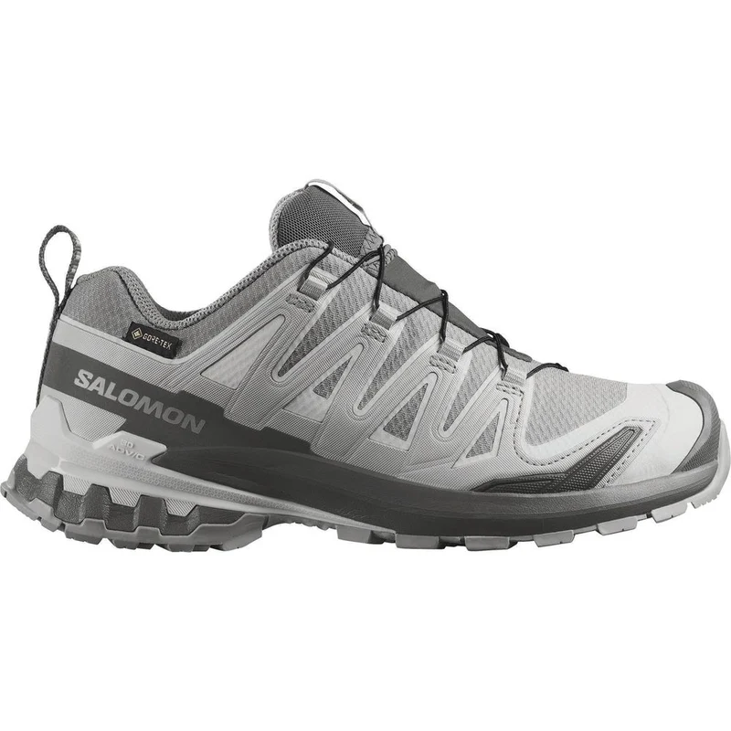 Salomon Shoes Xa Pro 3D V9 GTX W Trailrunningschuh Damen alloy/castlerock/lunar rock