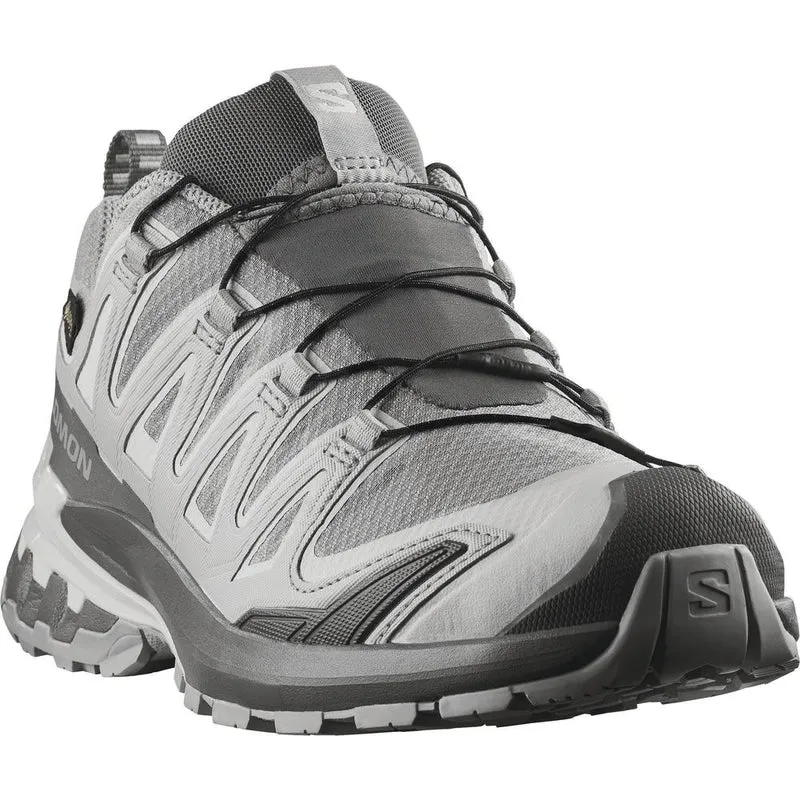 Salomon Shoes Xa Pro 3D V9 GTX W Trailrunningschuh Damen alloy/castlerock/lunar rock
