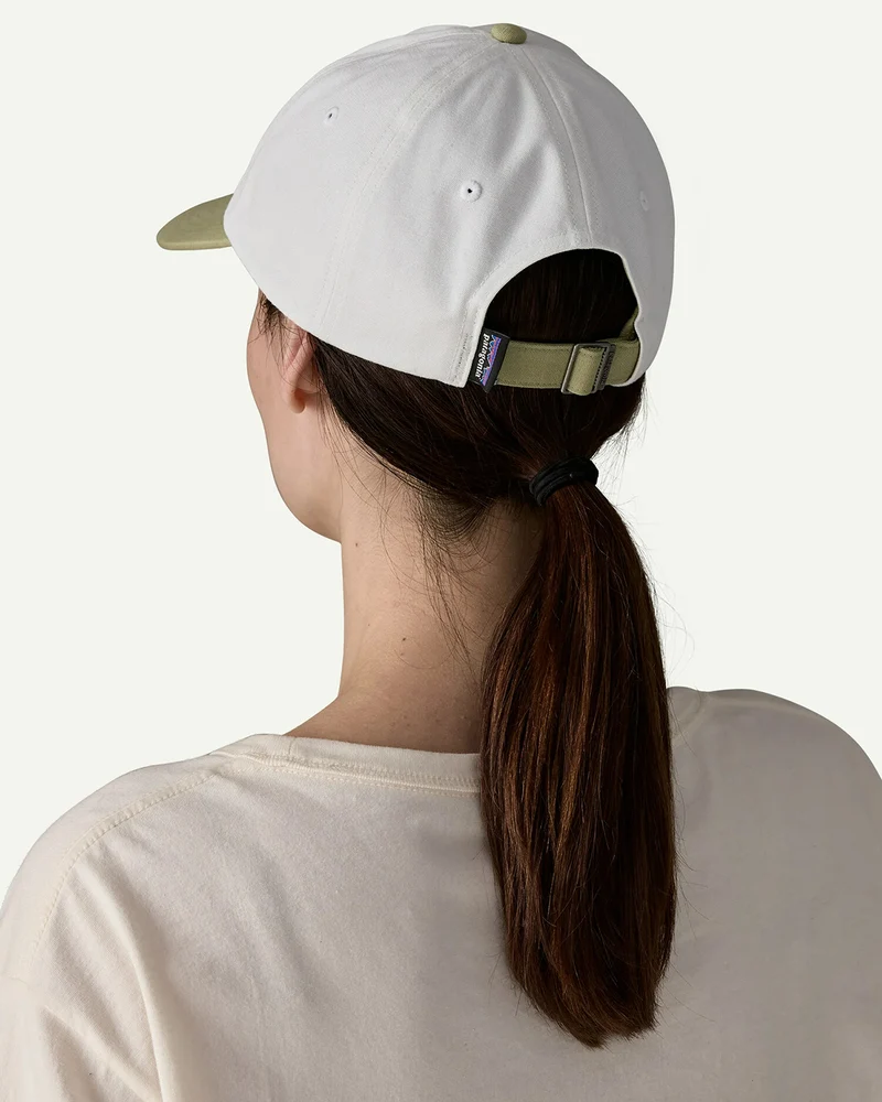 Patagonia Fitz Roy Icon Trad Cap Birch White / Gumtree Green