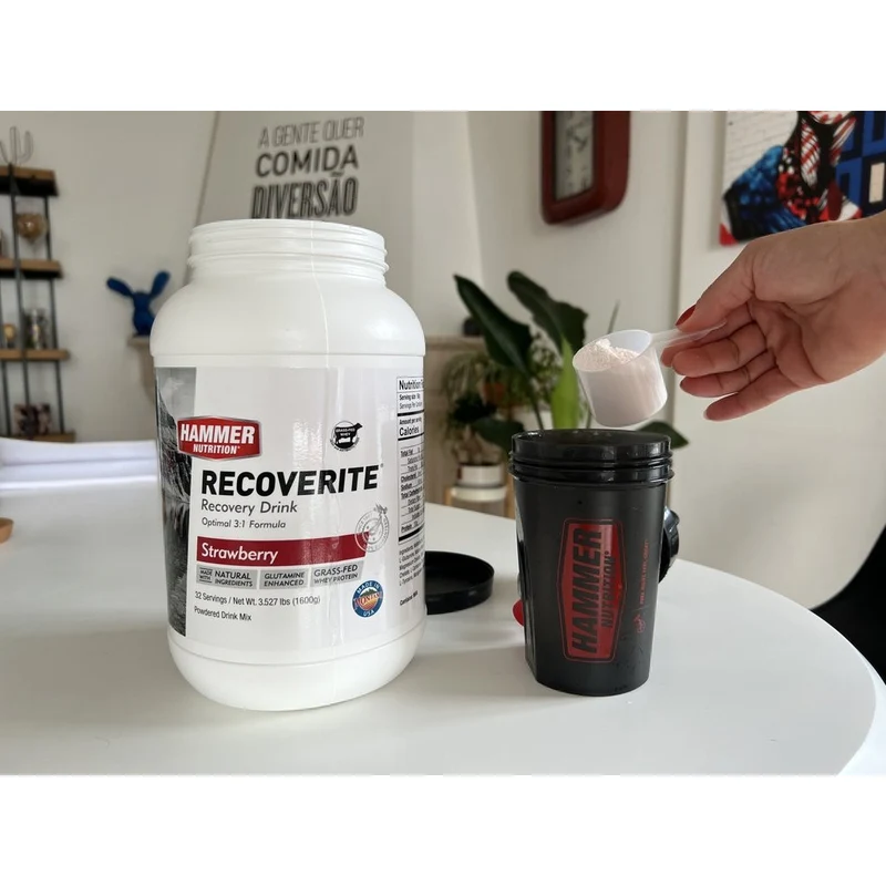 Hammer Nutrition | Recoverite 2.0 | Post-Workout Recovery Drink | 10 Gram Proteïne
