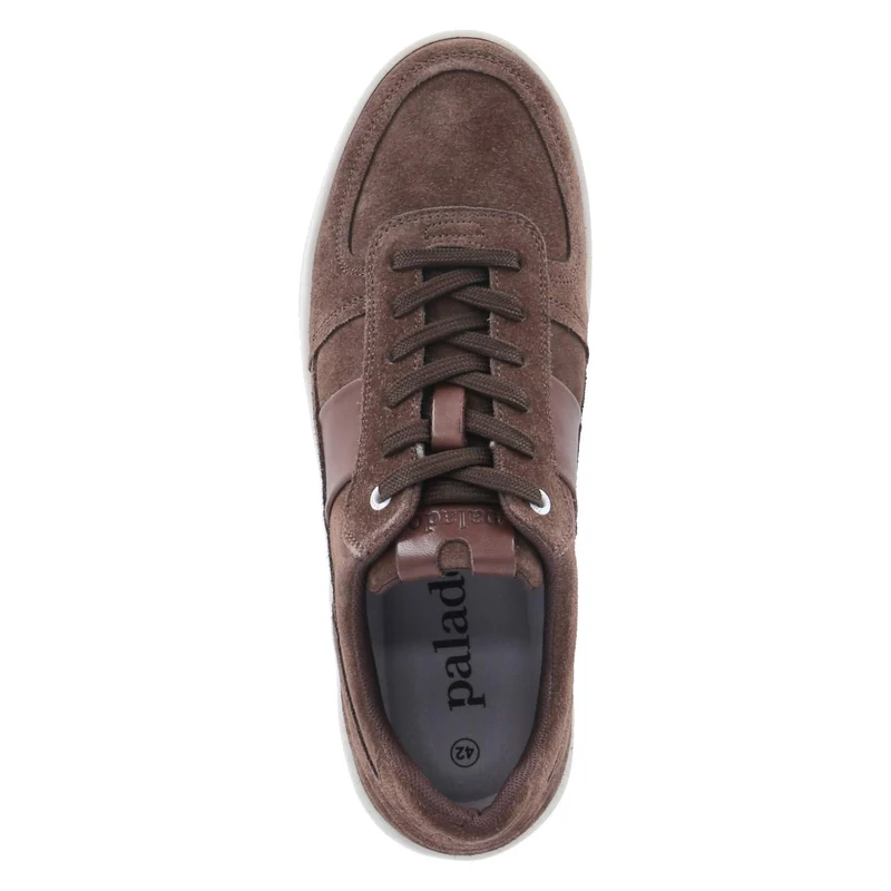Low Sneaker Braun