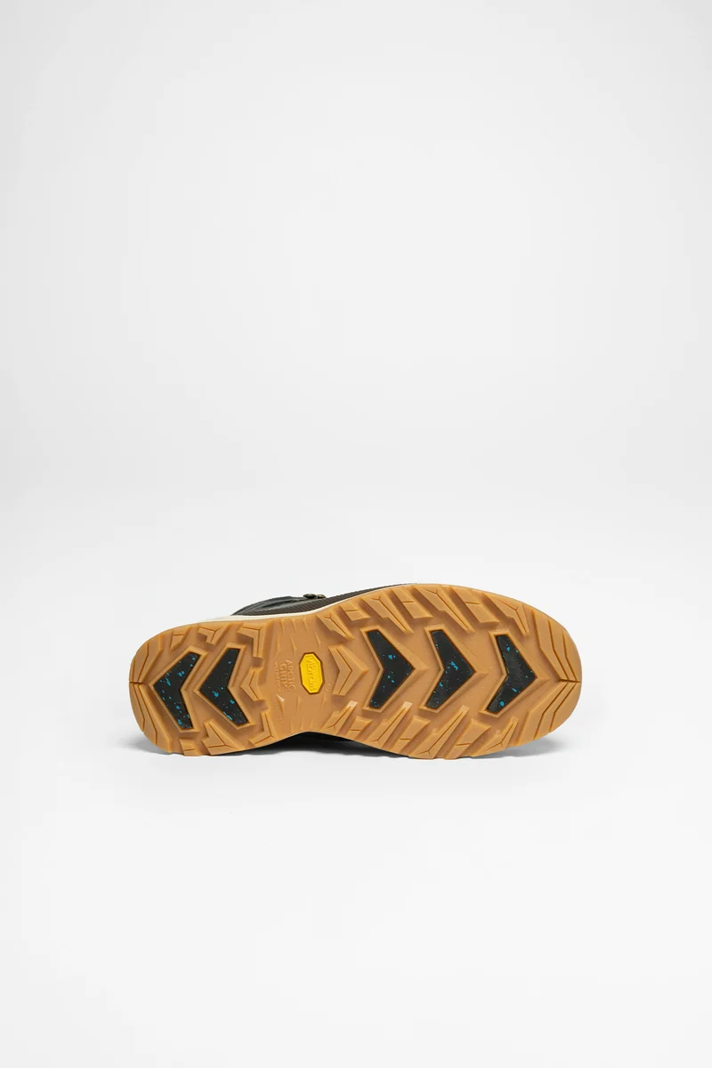 Renegade Evo Ice GTX Herren (Navy/Honig)