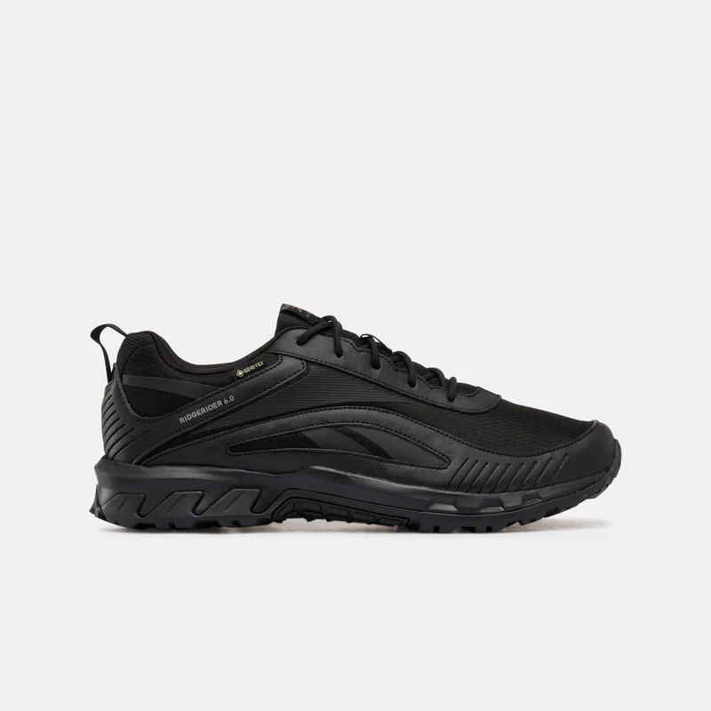 Ridgerider 6 GTX Hiking Shoes