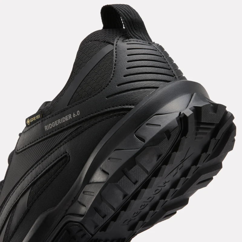 Ridgerider 6 GTX Hiking Shoes
