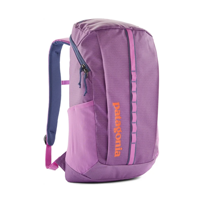 Patagonia Black Hole Pack 25L Brisk Purple