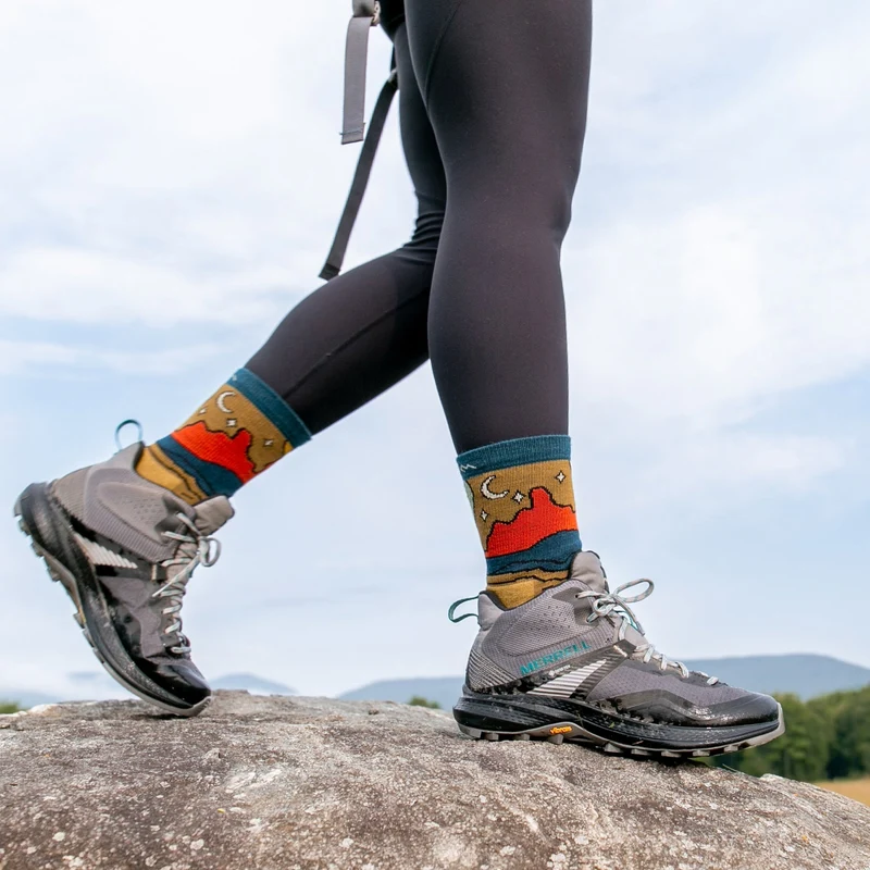 Darn Tough | 5023 Celeste | Micro Crew | Cushion | Dames