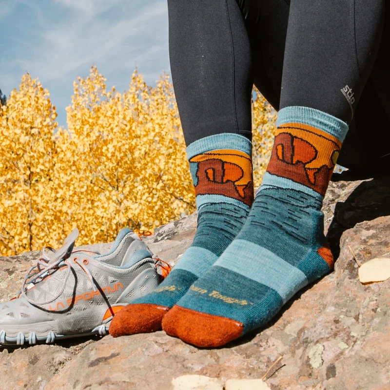 Darn Tough | 5023 Celeste | Micro Crew | Cushion | Dames