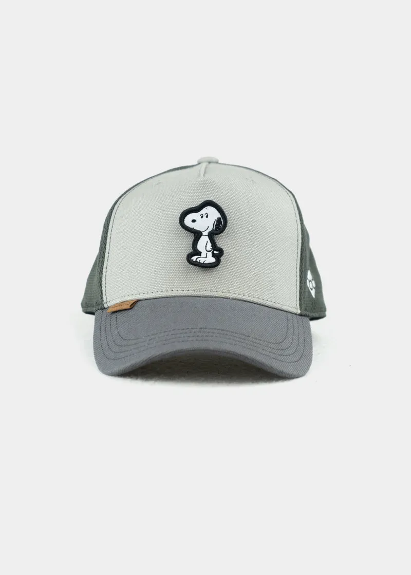 BAVARIAN CAPS PEANUTS Transformer Curved Cap mit 3 Patches