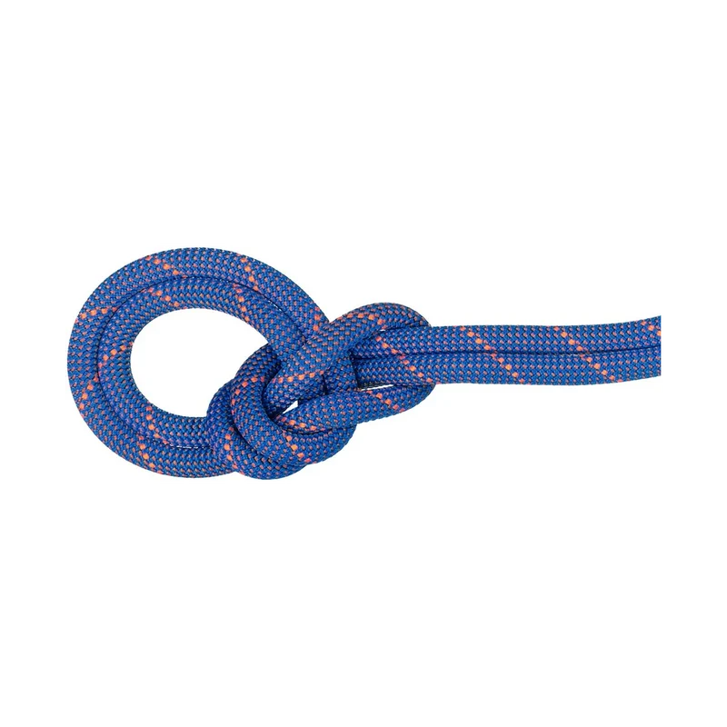 Mammut Crag Sender Dry 9.0, 60 m BLUE Kletterseil