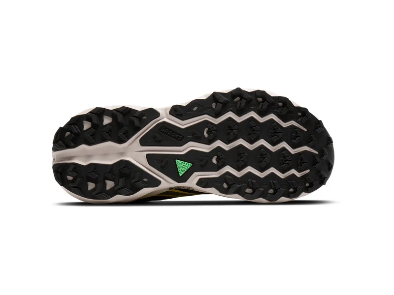 Cascadia 19