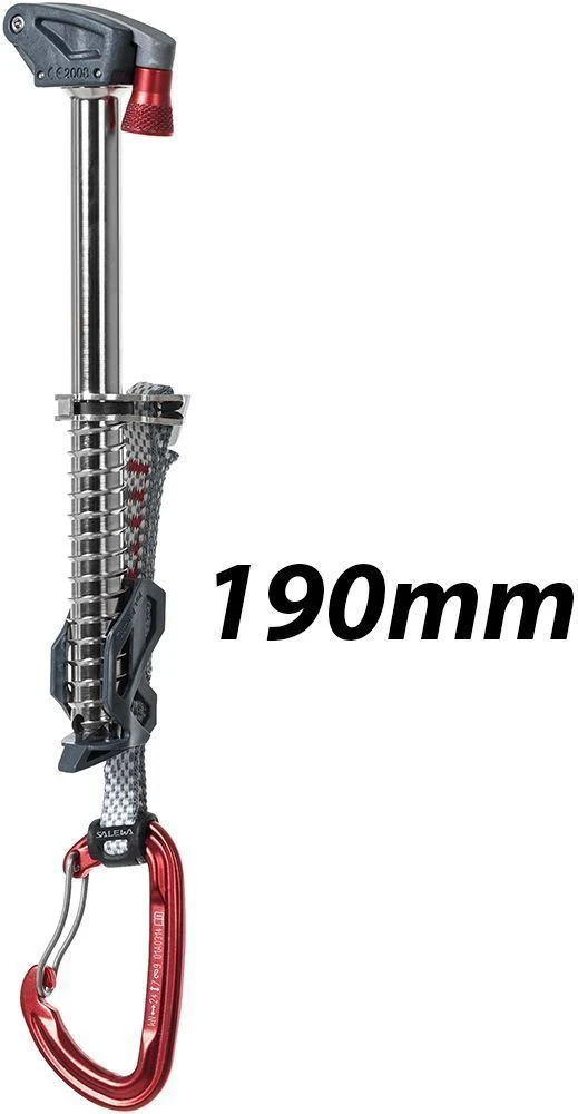 Salewa Quick Screw Eisschraube 20/21