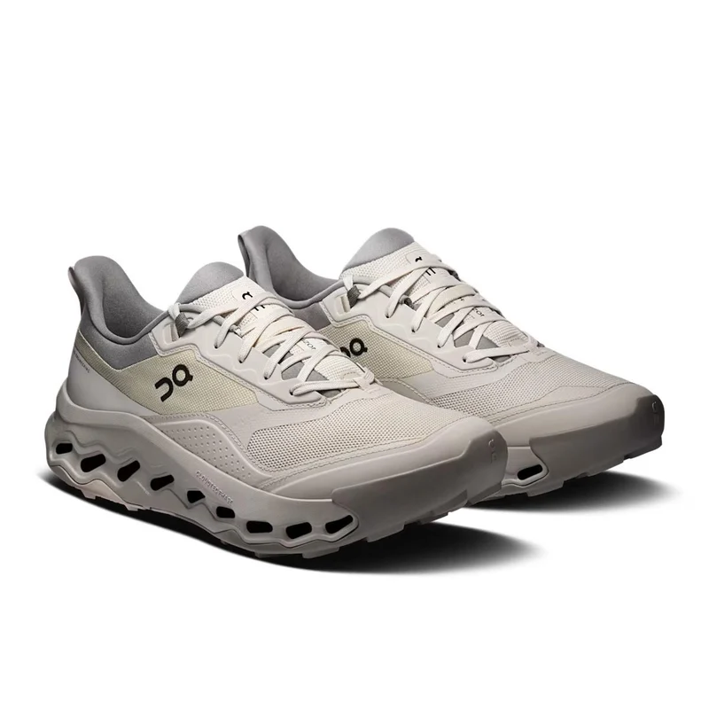 ON Herren Joggingschuhe Cloudhorizon 2 Pearl / Fog