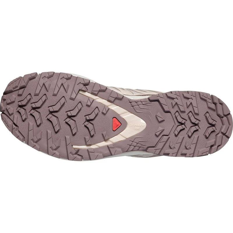 Salomon Shoes XA Pro 3D V9 Lifelong Damen Trailrunningschuh tapioca-tapioca-iron