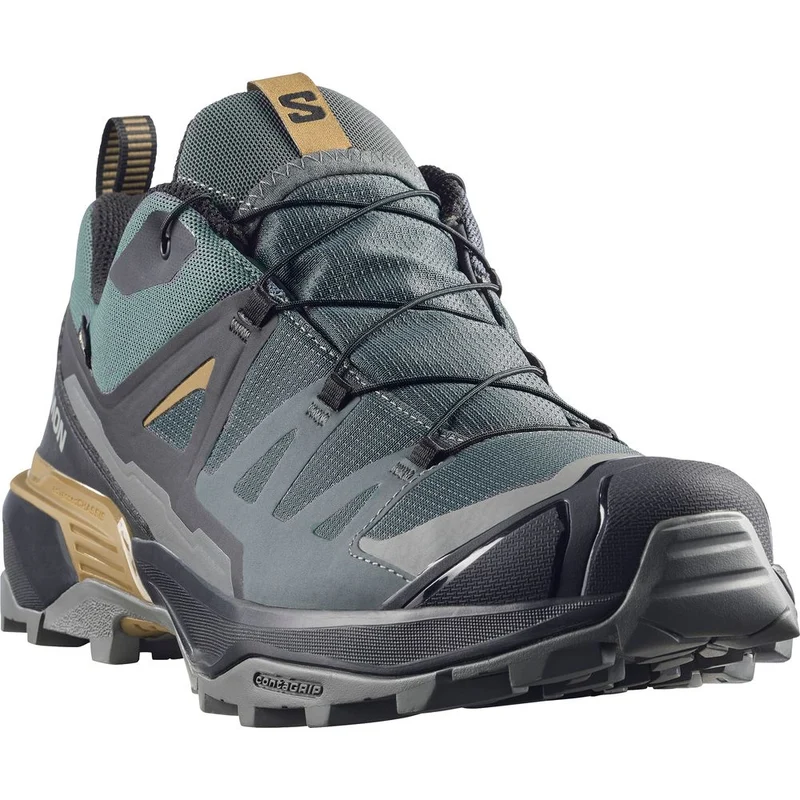 Salomon Shoes X Ultra 360 GTX Herren Wanderschuh Urban Chic/Black/Plantation