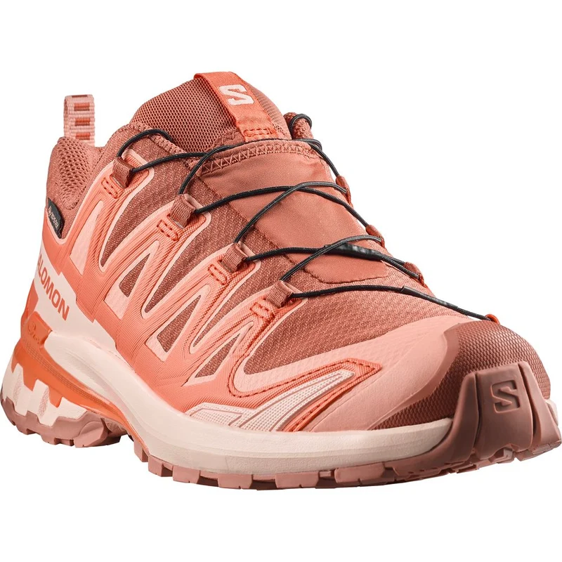 Salomon Shoes XA Pro 3D V9 GTX Damen Trailrunningschuh pecan-brown-nectarine-almond-cream