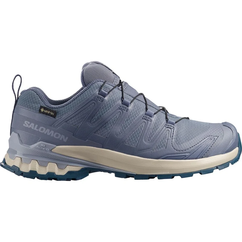 Salomon Shoes XA Pro 3D V9 GTX Damen Trailrunningschuh grisaille-tradewinds-spellbound