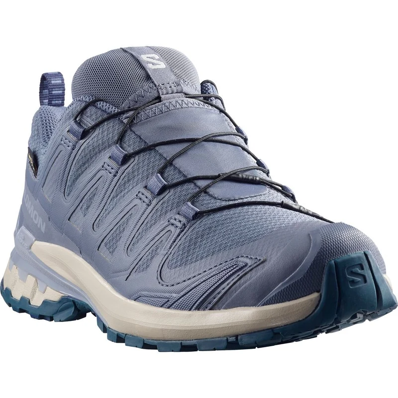 Salomon Shoes XA Pro 3D V9 GTX Damen Trailrunningschuh grisaille-tradewinds-spellbound