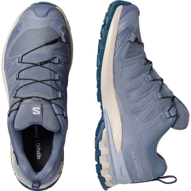 Salomon Shoes XA Pro 3D V9 GTX Damen Trailrunningschuh grisaille-tradewinds-spellbound