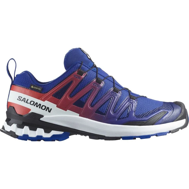 Salomon Shoes XA Pro 3D V9 GTX Equipe Herren Trailrunningschuh Surf W/fir surf-the-web-fiery-red-white