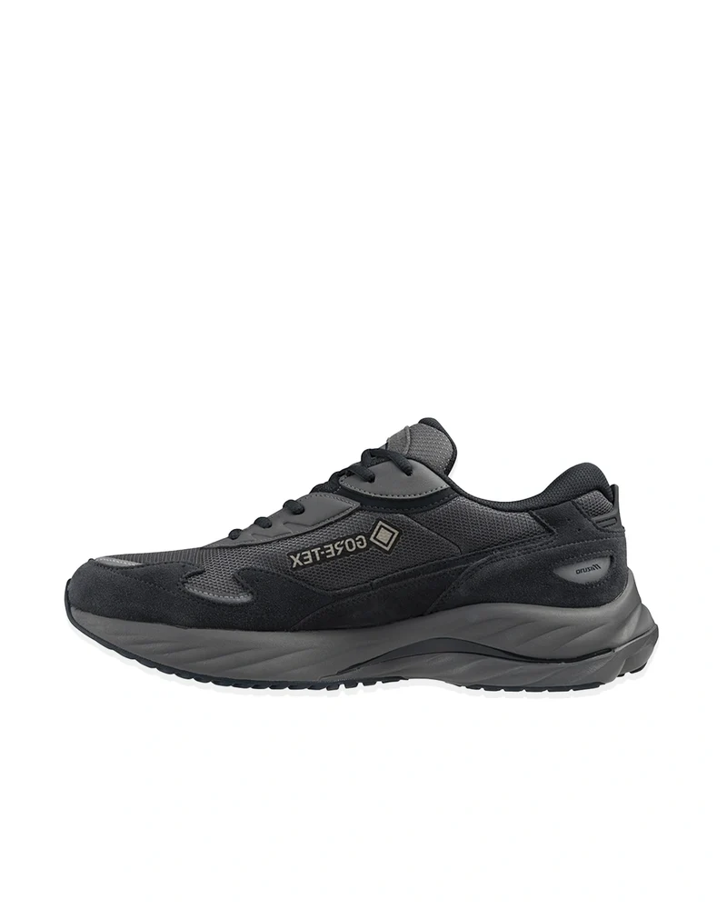 Mizuno Wave Rider Beta Gore-Tex Quiet Shade / Vulcan / Silver