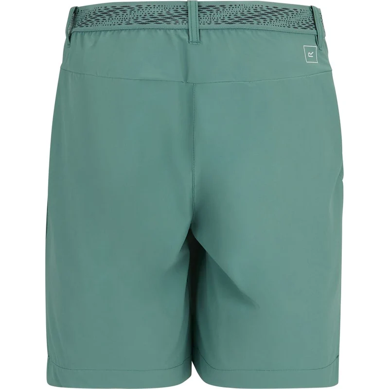 Regatta Mountain II kurze Wanderhose Damen ivy-moss