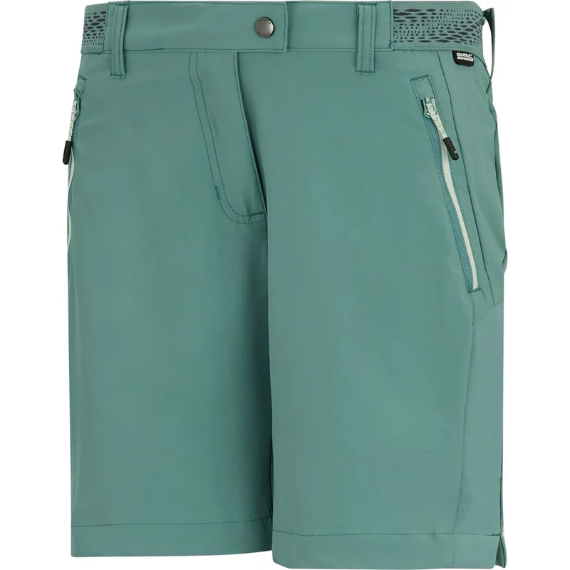 Regatta Mountain II kurze Wanderhose Damen ivy-moss