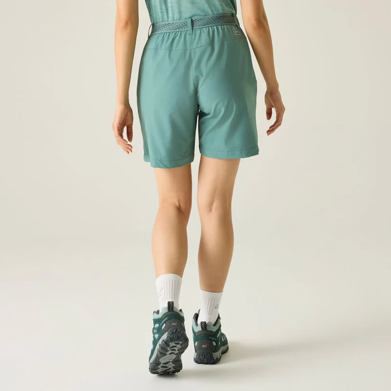 Regatta Mountain II kurze Wanderhose Damen ivy-moss