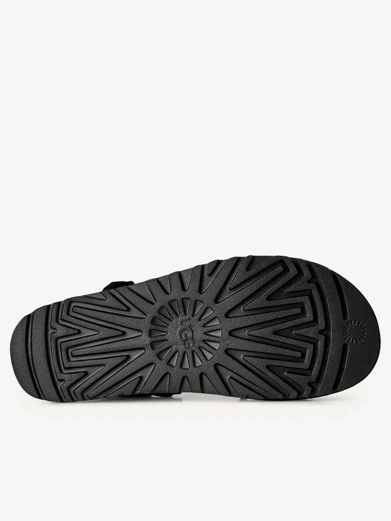 W Goldenstar Glide nere