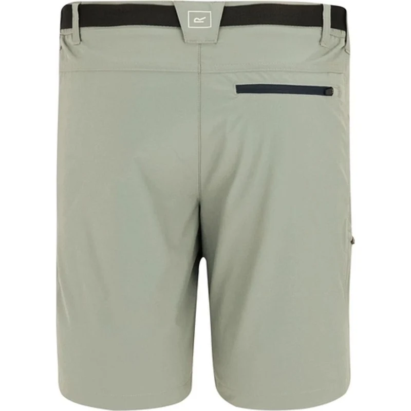 Regatta Xert Stretch Shorts Herren abbeystone