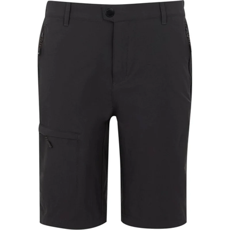 Regatta Highton II kurze Wanderhose Herren ash