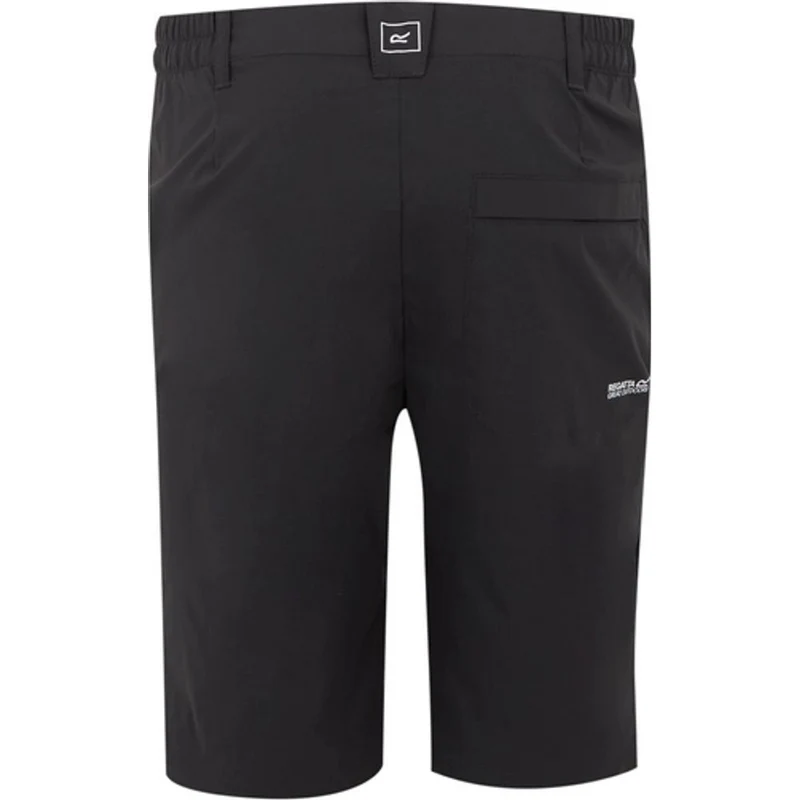 Regatta Highton II kurze Wanderhose Herren ash