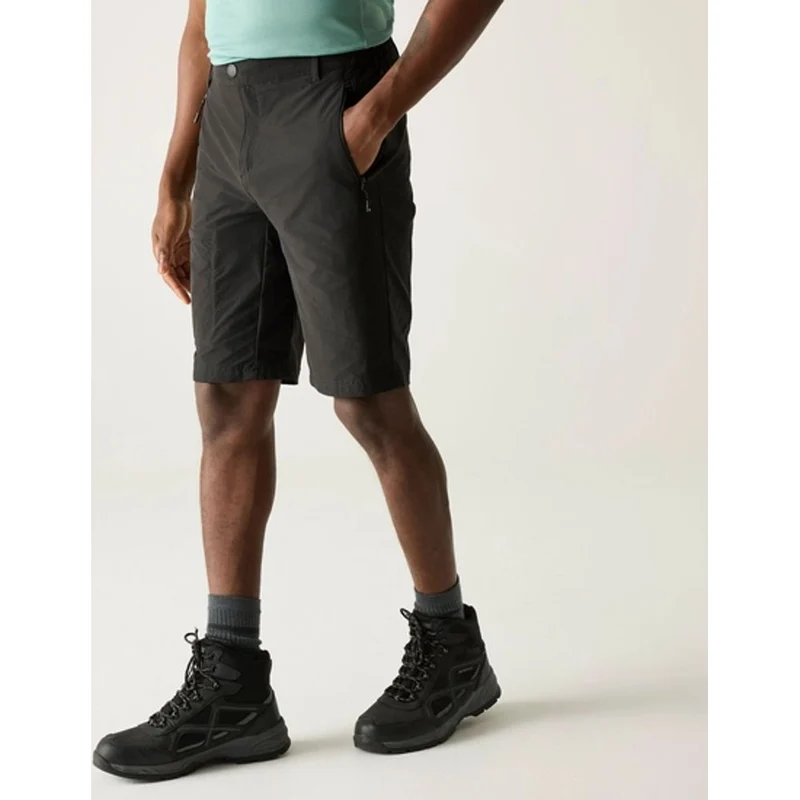 Regatta Highton II kurze Wanderhose Herren ash