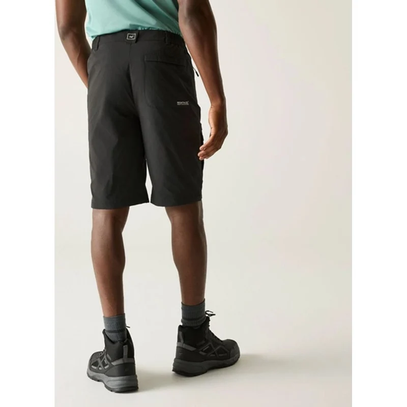 Regatta Highton II kurze Wanderhose Herren ash