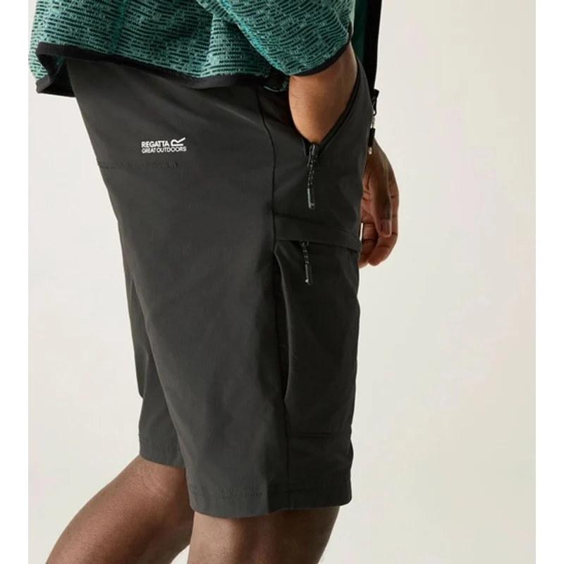 Regatta Highton II kurze Wanderhose Herren ash