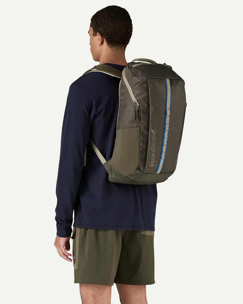 Patagonia Black Hole Pack 25L Basin Green