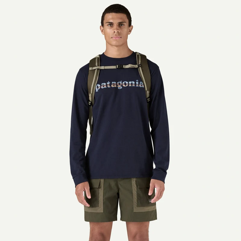 Patagonia Black Hole Pack 25L Basin Green