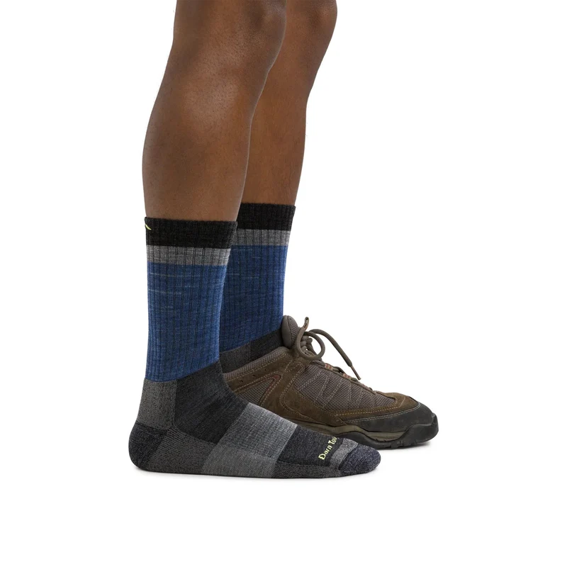 Darn Tough 1924 Heady Stripe Micro Crew Cushion Heren