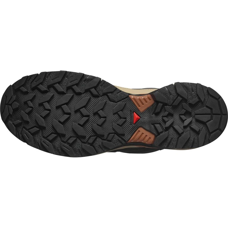 Salomon Shoes X Ultra 360 GTX Herren Trekkingschuh Phantm/sfari/caram phantom-safari-caramel-cafe