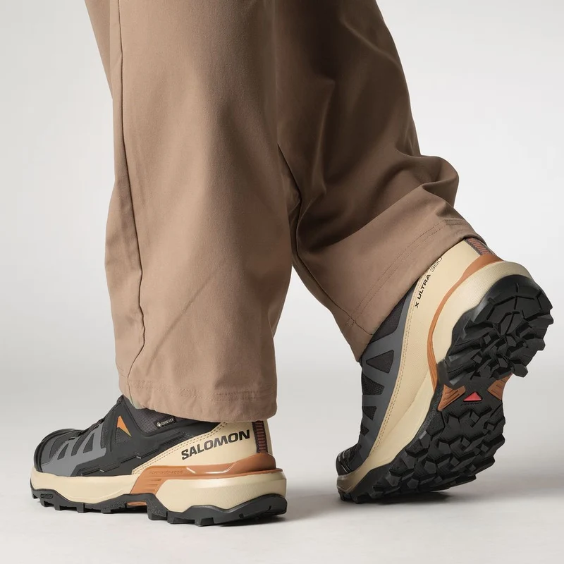 Salomon Shoes X Ultra 360 GTX Herren Trekkingschuh Phantm/sfari/caram phantom-safari-caramel-cafe